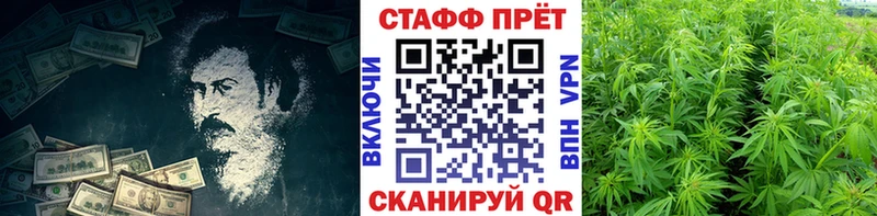 Продажа наркотиков Яхрома APVP  АМФ  Меф мяу мяу  Псилоцибиновые грибы  КОКАИН  Метадон  Канабис 
