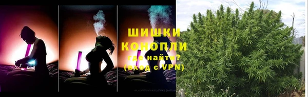 СК Тайга