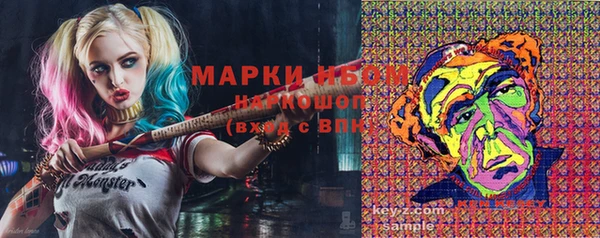 амф Фёдоровский