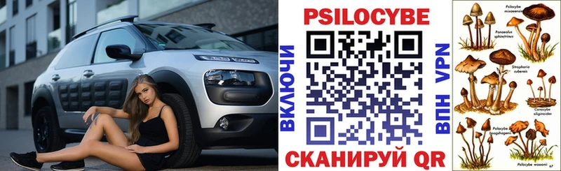 Галлюциногенные грибы Psilocybine cubensis  Яхрома 